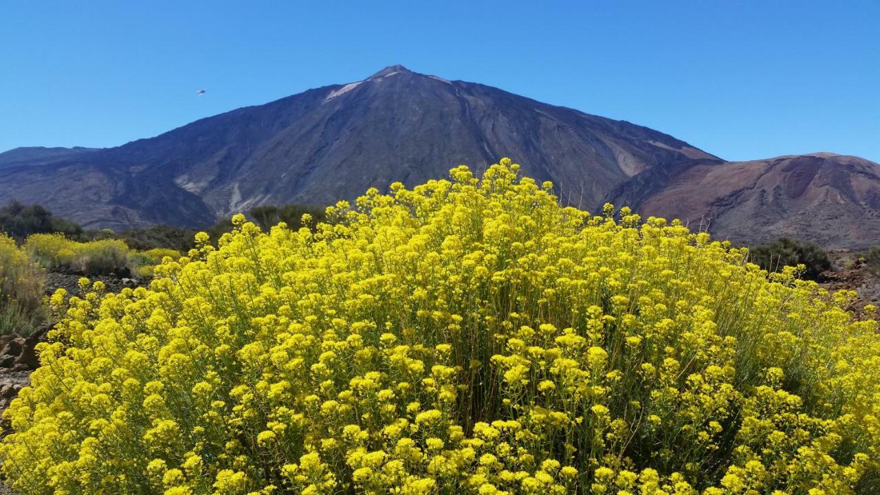 Sissi Boutique - The Terrace Between Ocean And Teide サンタ・ウルスラ エクステリア 写真