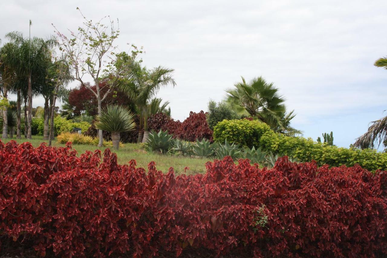 Sissi Boutique - The Terrace Between Ocean And Teide サンタ・ウルスラ エクステリア 写真